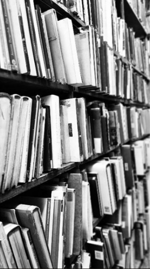 Biblioteka